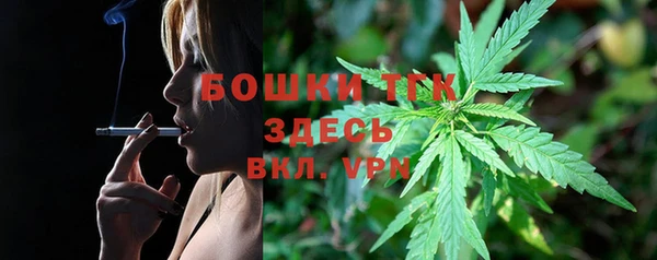 тгк Алзамай