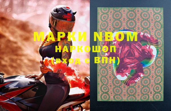 тгк Алзамай