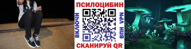 Псилоцибиновые грибы мухоморы  площадка официальный сайт  Северодвинск  дарнет шоп 